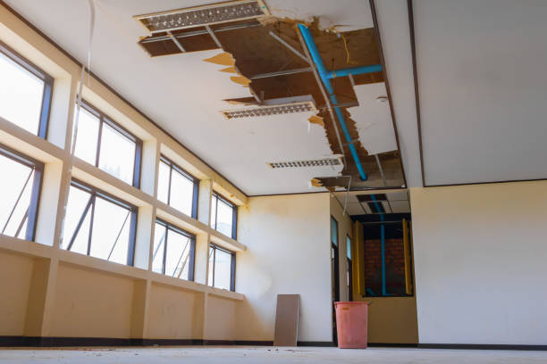 Best Water damage restoration specialists  in Flatonia, TX