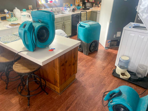 Flatonia, TX Water damage restoration Pros