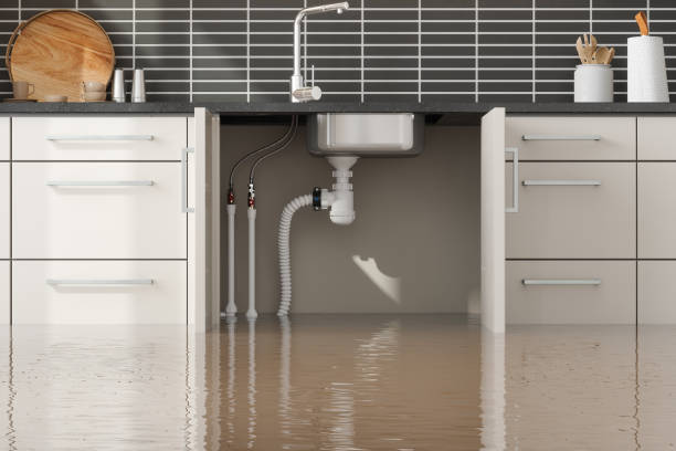 Best 24-hour water damage restoration  in Flatonia, TX